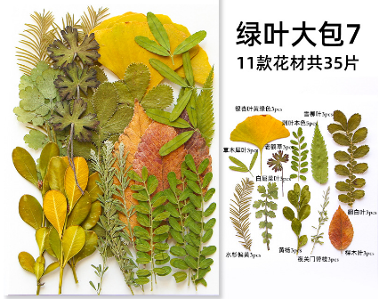 Dried Leaves for Resin Art |  - Resinarthub