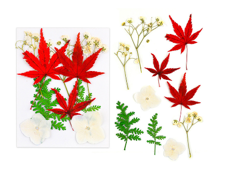 Dried Flowers with Leaf for Resin Art | Fillings - Resinarthub