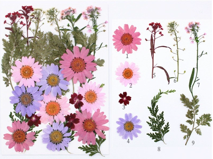Colorful Pressed Dried Flowers for Resin Art