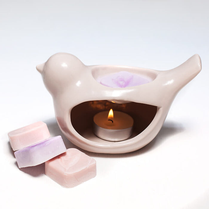 EcoSoya Melt Plant-based Candle Soy Wax | EcoSoya - Resinarthub