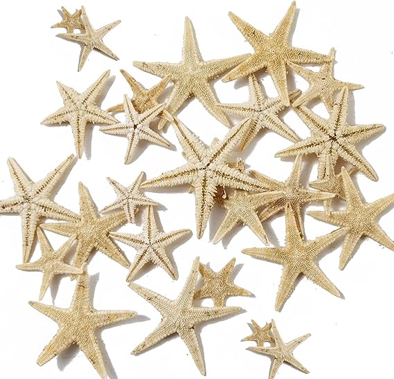Natural Star Fish For Resin Art | Fillings - Resinarthub