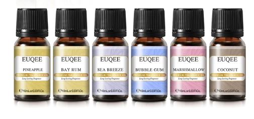 6pc Set of Holiday Delight Fragrance Oil for Candle Making (10ml) | Tools - Resinarthub