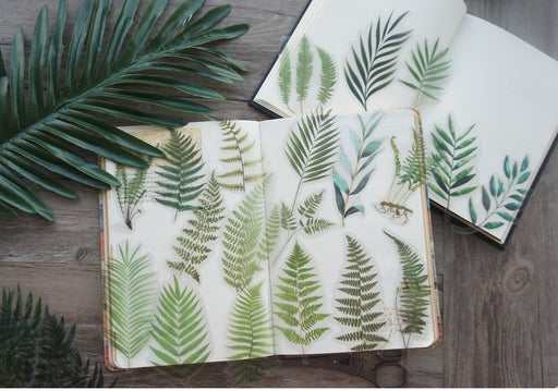 Natural Green Fern Iron Leaf Style Transparent Sticker (38pcs ) | Fillings - Resinarthub
