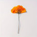 Dried Chrysanthemum Pressed Flower for Resin Art | Fillings - Resinarthub