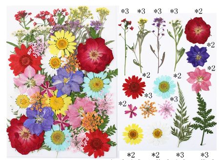 Colorful Pressed Dried Flowers for Resin Art