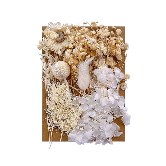 Colorful Dried Flowers for Resin Art and Candle Making