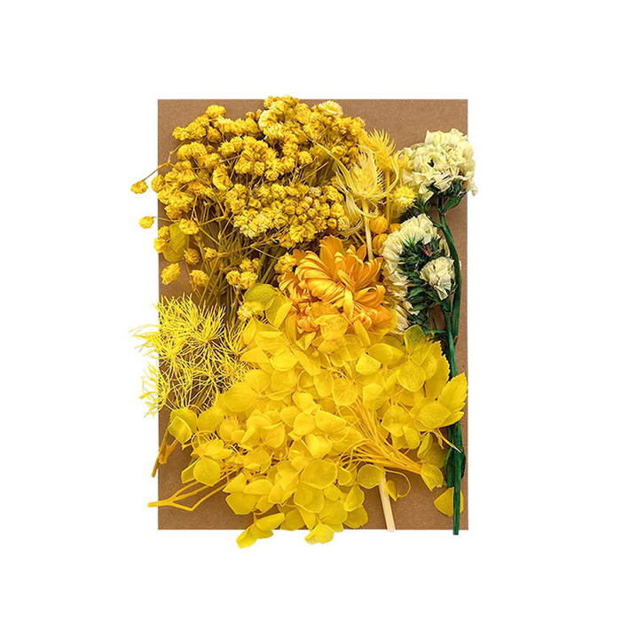 Colorful Dried Flowers for Resin Art and Candle Making