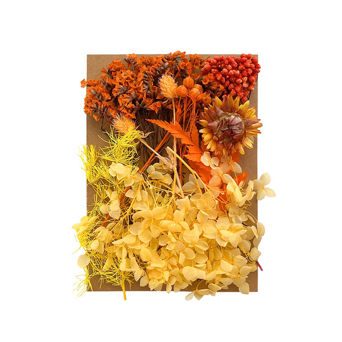 Colorful Dried Flowers for Resin Art and Candle Making
