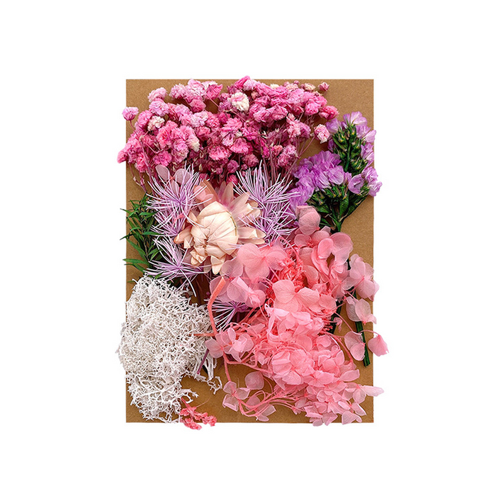 Colorful Dried Flowers for Resin Art and Candle Making