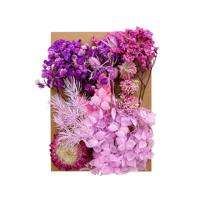 Colorful Dried Flowers for Resin Art and Candle Making