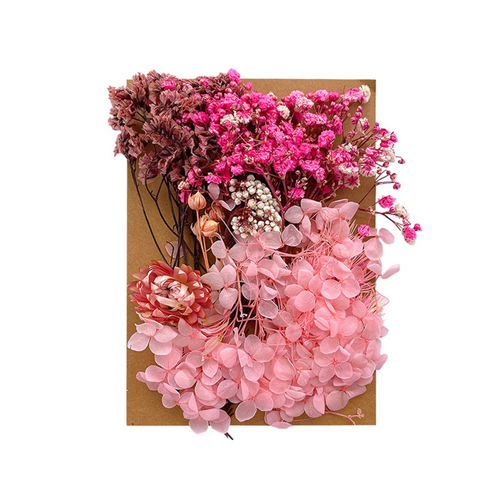 Colorful Dried Flowers for Resin Art and Candle Making