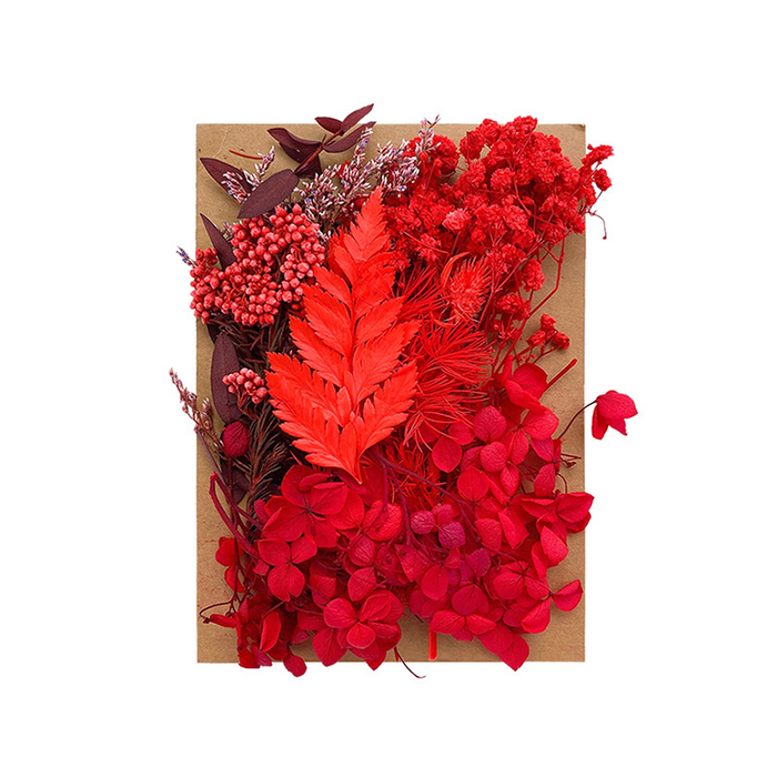 Colorful Dried Flowers for Resin Art and Candle Making