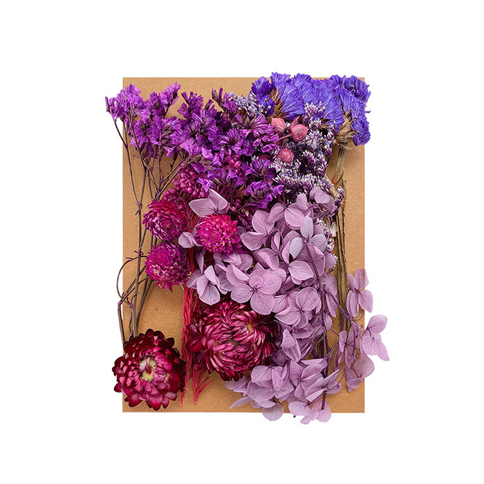 Colorful Dried Flowers for Resin Art and Candle Making