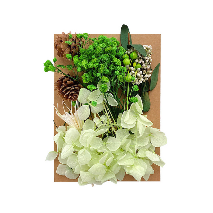 Colorful Dried Flowers for Resin Art and Candle Making