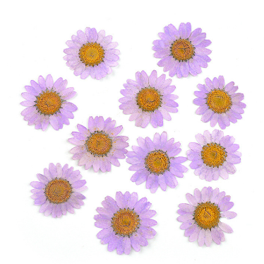 Natural Pressed Dried Daisy Flowers for Resin Art | Fillings - Resinarthub