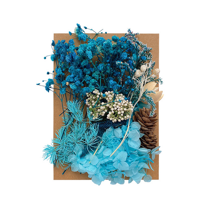 Colorful Dried Flowers for Resin Art and Candle Making