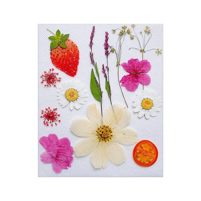 Dried Flowers with Fruits for Resin Art | Fillings - Resinarthub