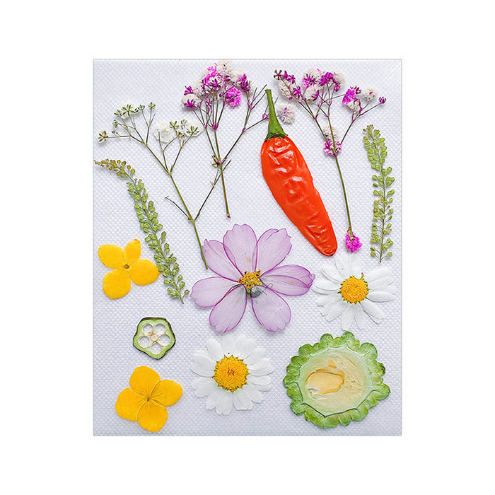 Dried Flowers with Fruits for Resin Art