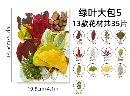 Dried Leaves for Resin Art |  - Resinarthub