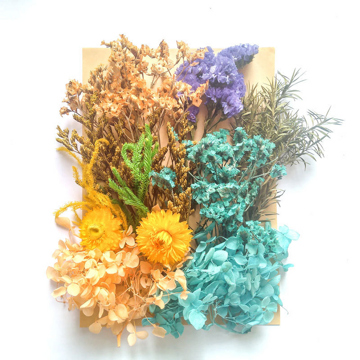 Colorful Dried Flowers for Candle Making