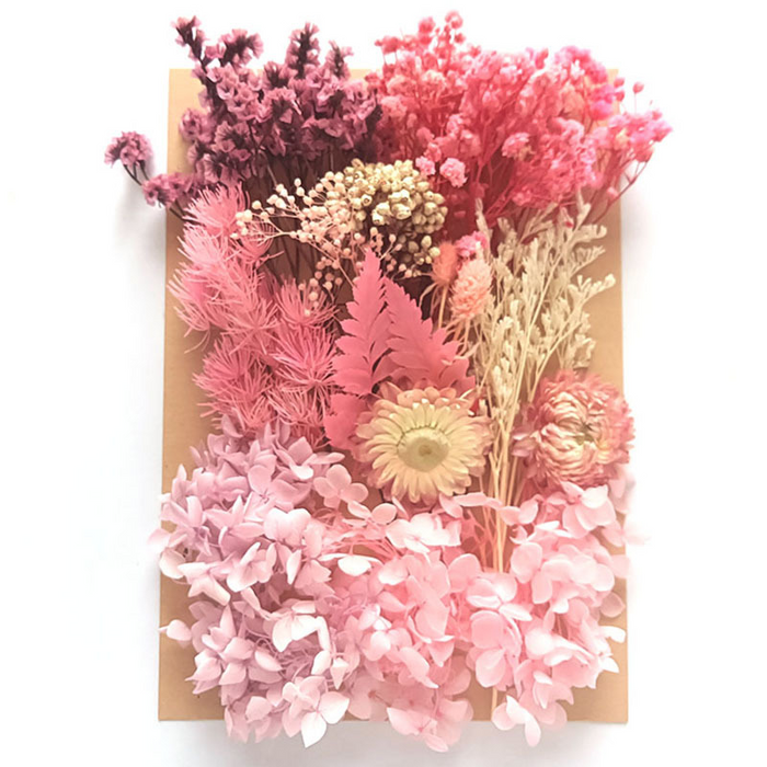 Colorful Dried Flowers and Leaves for Resin Art And Candle Making