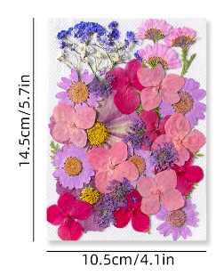 Colorful Pressed Dried Flowers for Resin Art