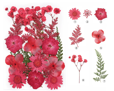 Colorful Pressed Dried Flowers for Resin Art
