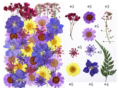 Colorful Pressed Dried Flowers for Resin Art