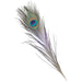 Peacock Feather for Resin Art | Fillings - Resinarthub