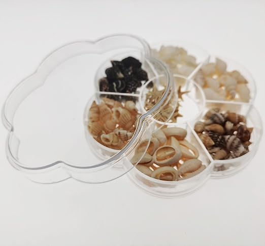 1 Box Mini Natural Seashell for Resin Art | Fillings - Resinarthub