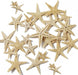 Natural  Star Fish For Resin Art | Fillings - Resinarthub