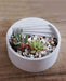 Bonsai Storage Pot Shaped Silicone Mold | Mould - Resinarthub