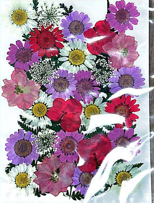Dried and Pressed Flowers in Various Colors, Shapes and Sizes for Resin Art | Fillings - Resinarthub