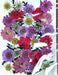 Dried and Pressed Flowers in Various Colors, Shapes and Sizes for Resin Art | Fillings - Resinarthub