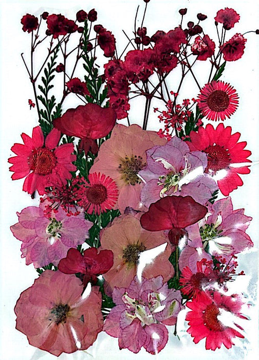 Dried and Pressed Flowers in Various Colors, Shapes and Sizes for Resin Art | Fillings - Resinarthub
