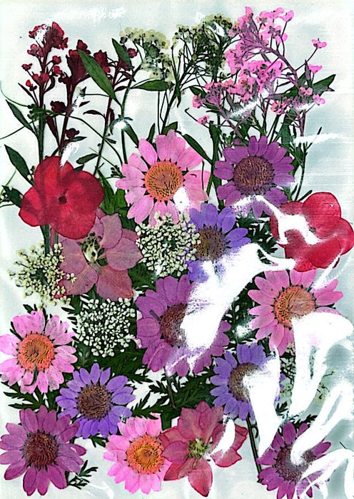 Dried and Pressed Flowers in Various Colors, Shapes and Sizes for Resin Art | Fillings - Resinarthub