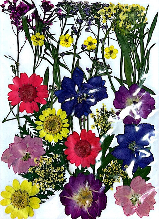 Dried and Pressed Flowers in Various Colors, Shapes and Sizes for Resin Art | Fillings - Resinarthub