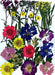Dried and Pressed Flowers in Various Colors, Shapes and Sizes for Resin Art | Fillings - Resinarthub