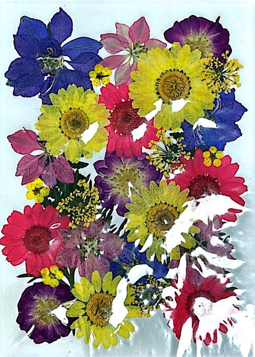 Dried and Pressed Flowers in Various Colors, Shapes and Sizes for Resin Art | Fillings - Resinarthub