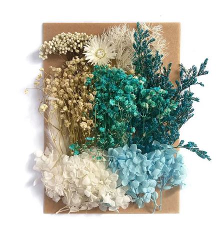 Colorful Dried Flower for Resin art