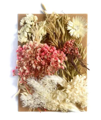 Dried Flowers Set for Resin and Candle Making Art | Fillings - Resinarthub