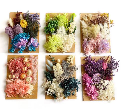 Dried Flowers Set for Resin and Candle Making Art | Fillings - Resinarthub