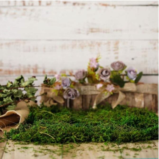 20g Artificial Moss For Resin Art | Fillings - Resinarthub