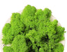 Artificial Moss for Resin Art (22g) | Fillings - Resinarthub