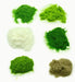 Grass Powder for Resin Art |  - Resinarthub