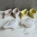 Shell Storage Silicone Mold | Mould - Resinarthub