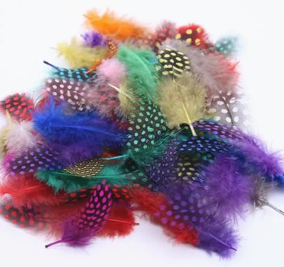 Feather set for Art and Craft | Fillings - Resinarthub