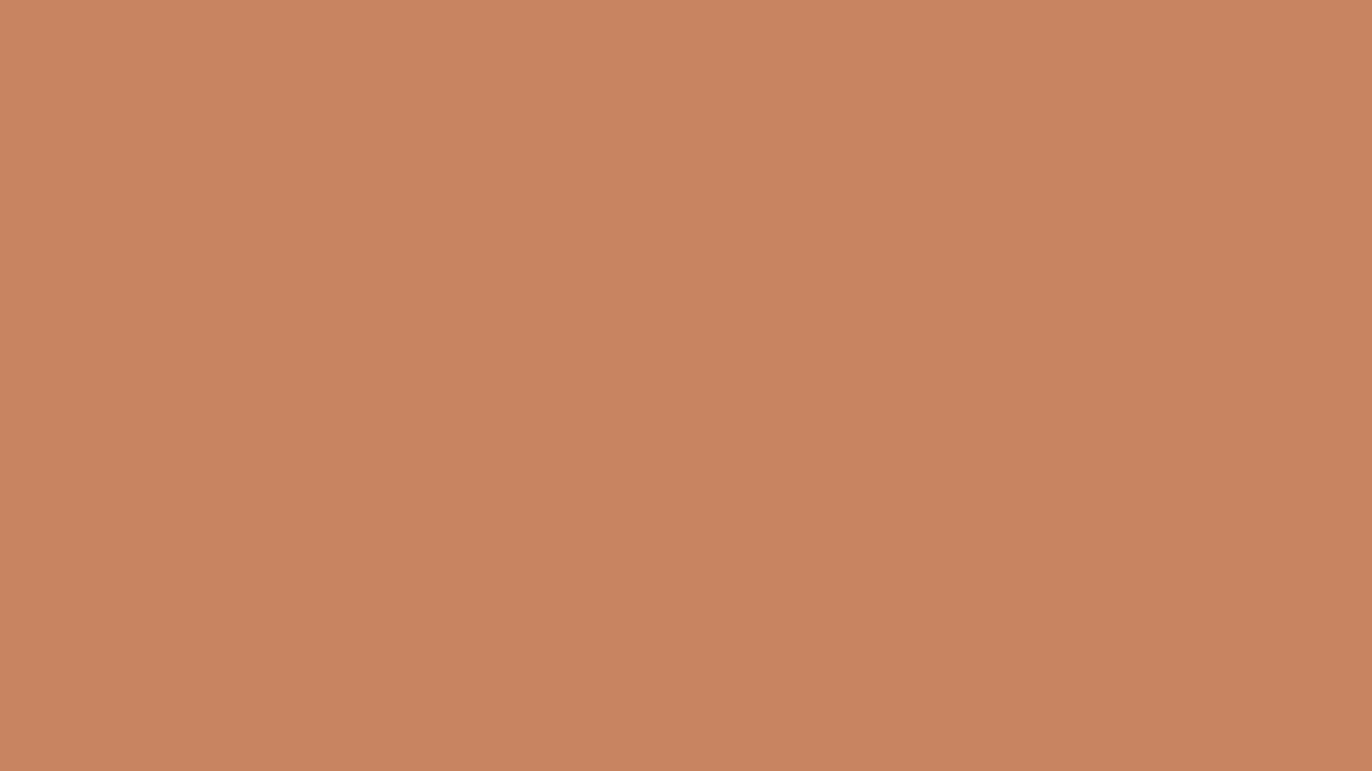 Monte Marte Raw Sienna Acrylic Color 36ml