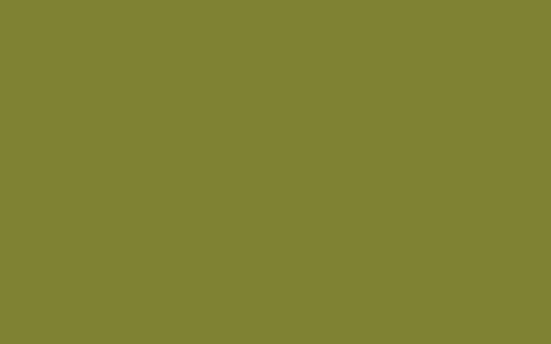 Monte Marte Olive Green Acrylic Color 36ml