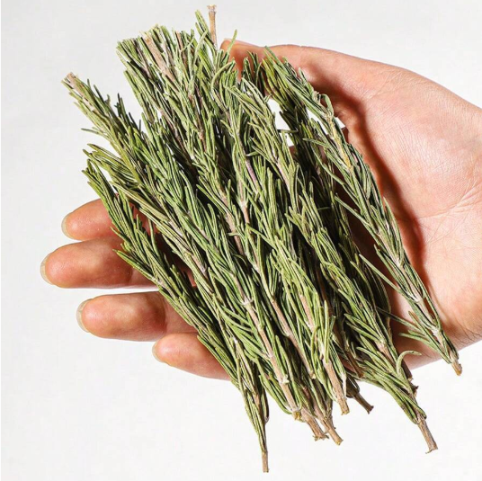 Natural Fresh Dried Rosemary Leaves for Candle Making